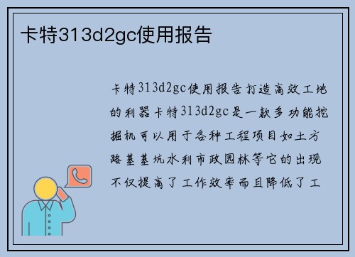 卡特313d2gc使用报告