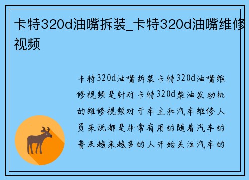 卡特320d油嘴拆装_卡特320d油嘴维修视频