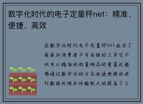 数字化时代的电子定量秤net：精准、便捷、高效